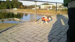 P1000089.jpg