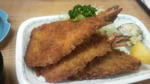 P1000094.jpg