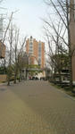 P1000189.jpg