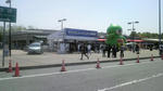 P1000196.jpg