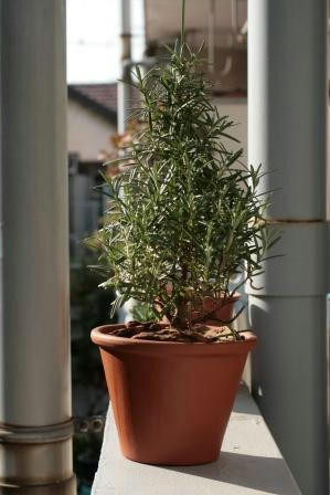 ef2a3b39.jpg