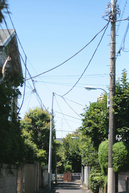 c8218777.jpg