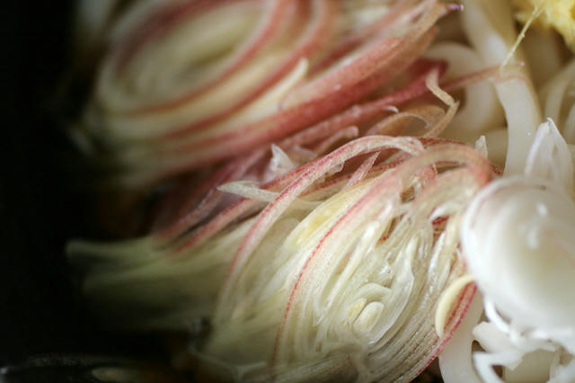 a33d80d5.jpg