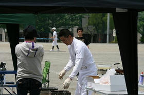 b207dbd8.jpg