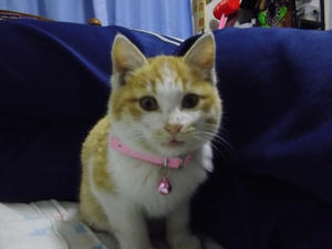 IMGP0261.JPG