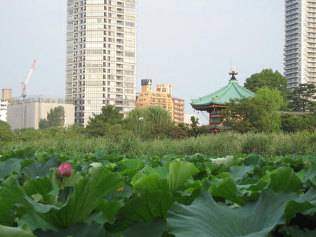 IMG_1300.JPG