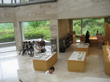 IMG_2859.JPG