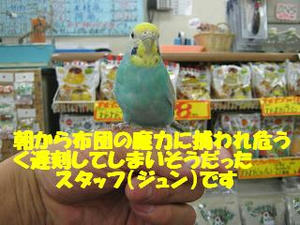 79d65319.jpeg