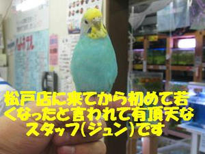 12decc7f.jpeg