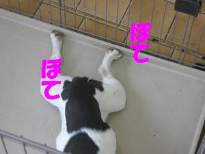 69ca87c4.jpeg