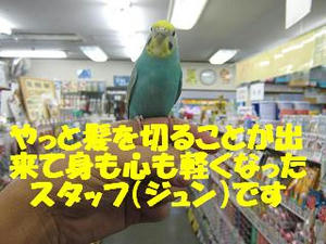 690038a3.jpeg