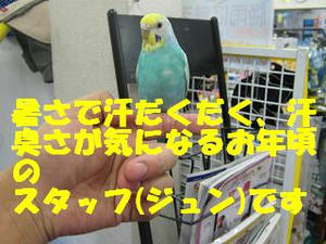 cf542206.jpeg