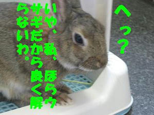 c3667cea.jpeg