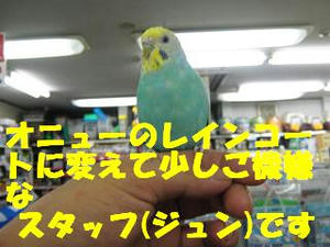 4bd3a315.jpeg