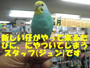 cbb4d684.jpeg