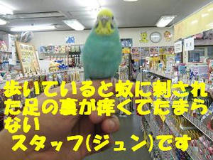 2b72c354.jpeg