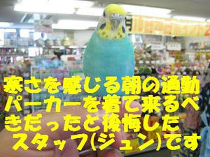 ab0b0745.jpeg