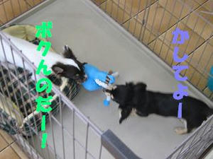 fe38c91e.jpeg
