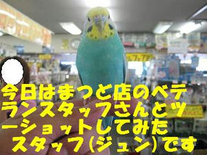 566cf981.jpeg