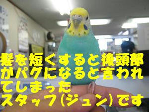 84311370.jpeg