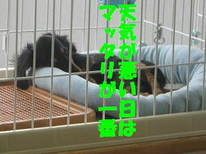 feb59e95.jpeg