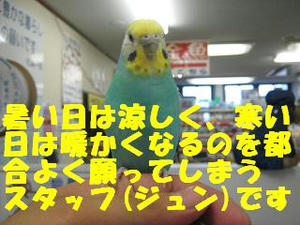 f7949924.jpeg