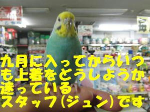 0d6cd61c.jpeg