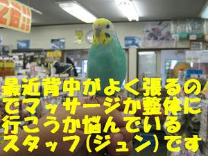 23743f36.jpeg