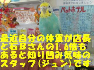 412b8a63.jpeg