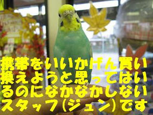 771255bd.jpeg