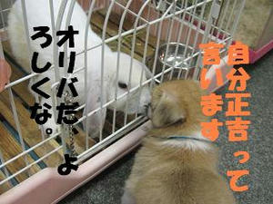 ご挨拶♪