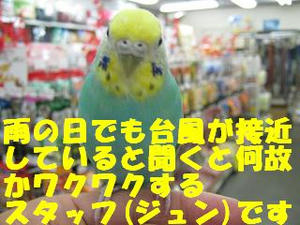 ぽにょで～す♪