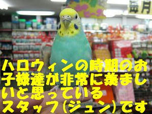 c8064818.jpeg