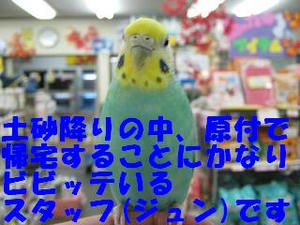 d20d4976.jpeg