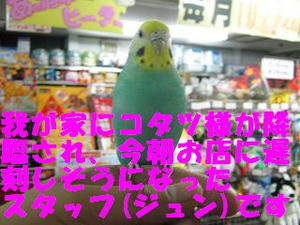 10241548.jpeg
