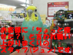 1c2503f4.jpeg