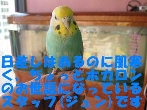 89910eb4.jpeg