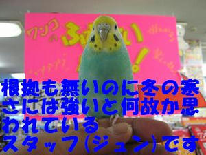 982a18d6.jpeg