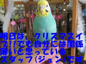 c89ca196.jpeg