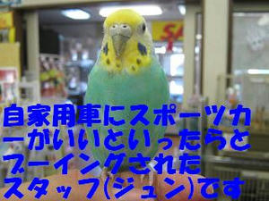 4ec12793.jpeg