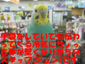 df7b4771.jpeg