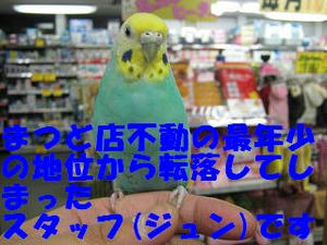5f2b0301.jpeg