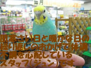 5311b634.jpeg