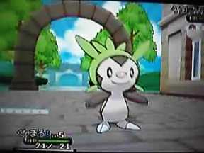 プレイ記 ポケモンy １