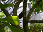 1kakao20080915SANY0087u1.jpg