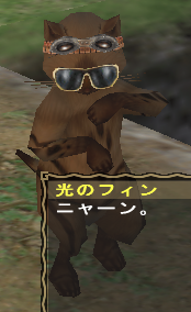 maitorekakesugi.PNG