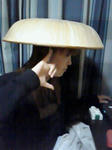 200901080035000.JPG