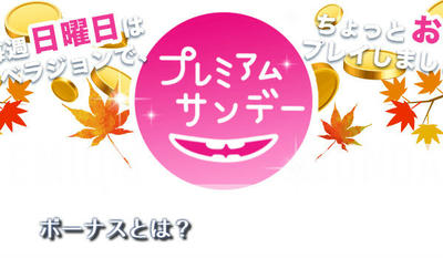 ボーナスとは