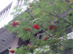 ff85a249.jpg