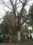 s-D1000066.jpg